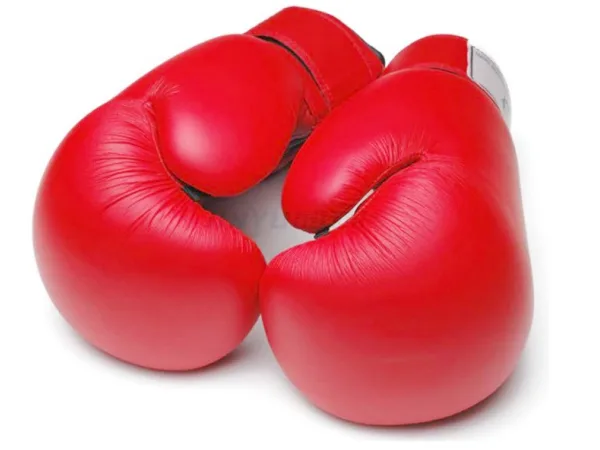 Schaum-Innenfutter für Boxhandschuhe